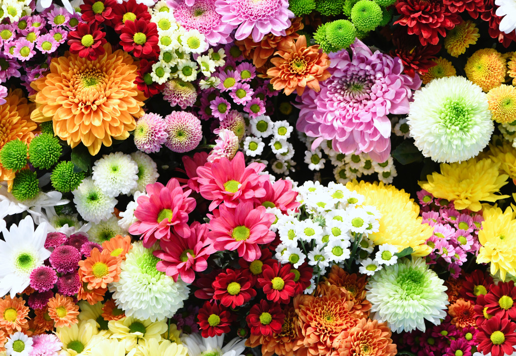 Flower Wall jigsaw puzzle in Flowers puzzles on TheJigsawPuzzles.com