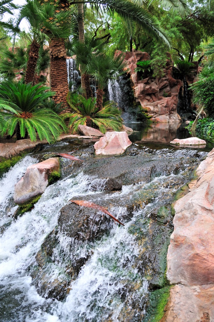 Flamingo Hotel's Small Waterfall jigsaw puzzle in Waterfalls puzzles on TheJigsawPuzzles.com