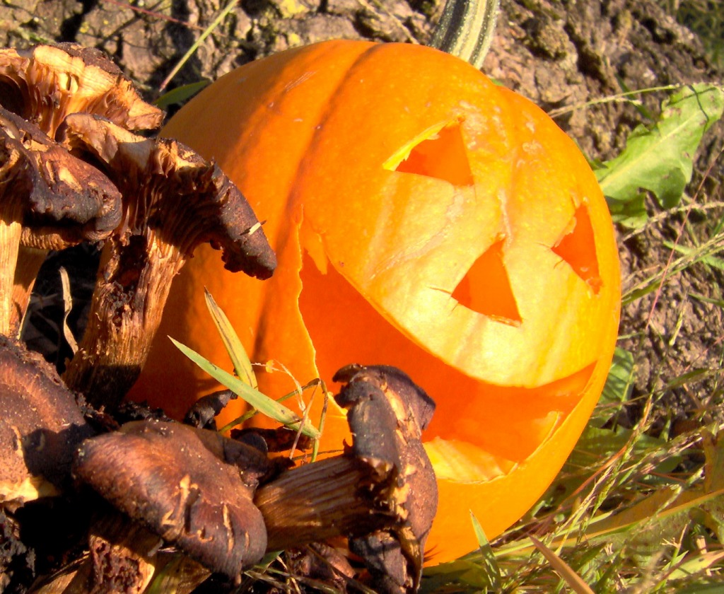 Jack o'Lantern jigsaw puzzle in Halloween puzzles on TheJigsawPuzzles.com