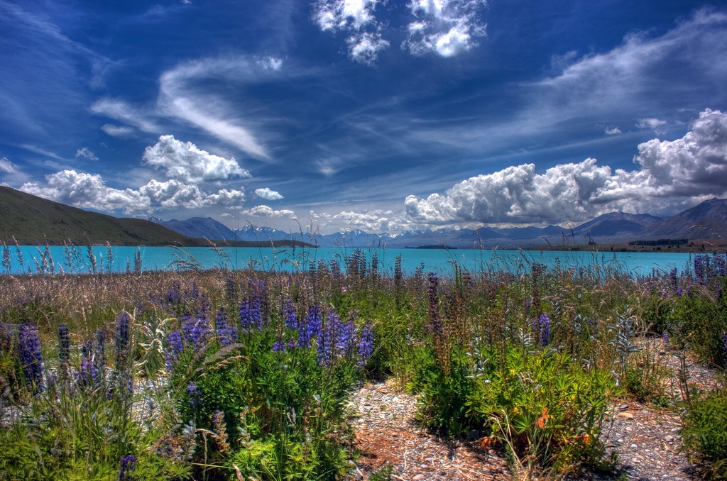 Lake Tekapo, New Zealand jigsaw puzzle in Great Sightings puzzles on TheJigsawPuzzles.com