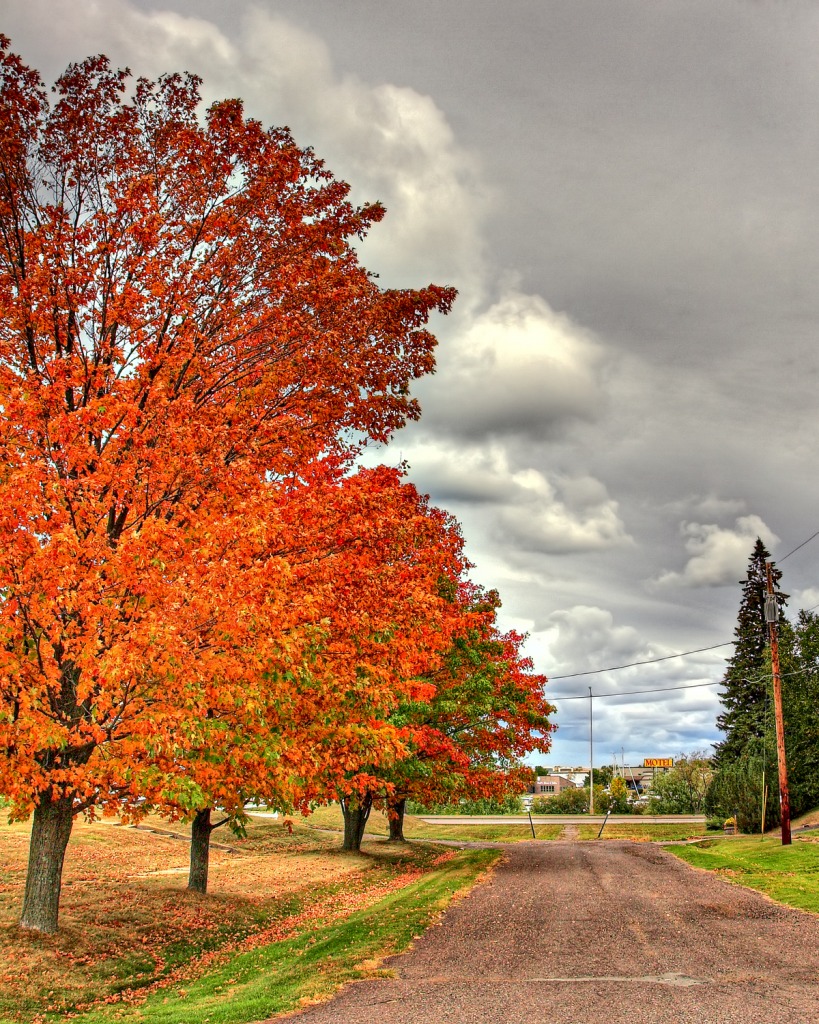 Autumn Scene jigsaw puzzle in Puzzle of the Day puzzles on TheJigsawPuzzles.com