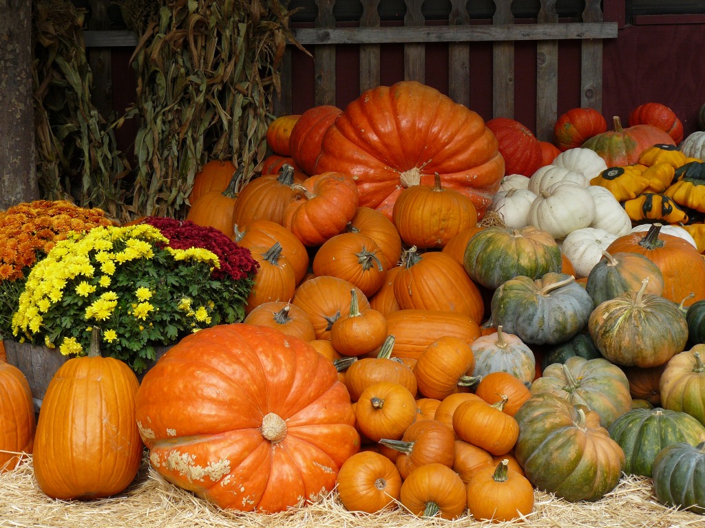 Fall Colors jigsaw puzzle in Fruits & Veggies puzzles on TheJigsawPuzzles.com