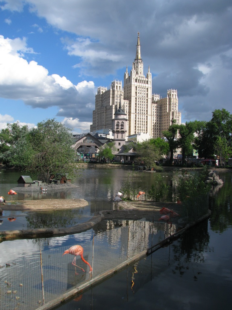 Flamingos in Moscow Zoo jigsaw puzzle in Street View puzzles on TheJigsawPuzzles.com