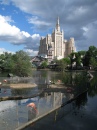 Flamingos in Moscow Zoo