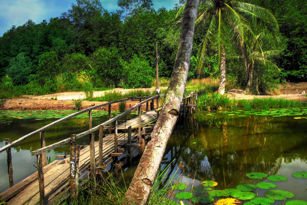 Pulau Ubin, Singapore jigsaw puzzle in Bridges puzzles on TheJigsawPuzzles.com