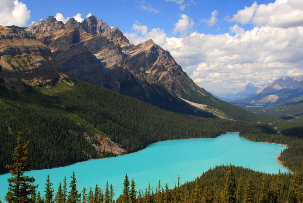 Peyto Lake, Canada jigsaw puzzle in Great Sightings puzzles on TheJigsawPuzzles.com