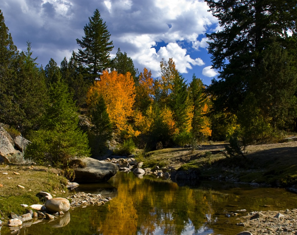 Autumn Jordan Creek jigsaw puzzle in Great Sightings puzzles on TheJigsawPuzzles.com