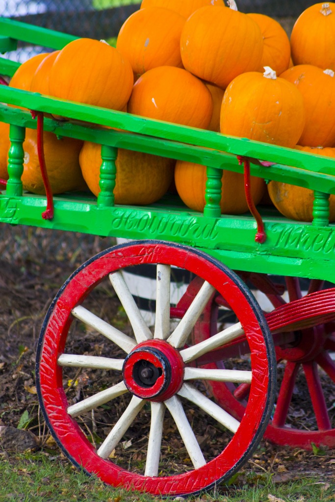 Halloween Pumpkins jigsaw puzzle in Halloween puzzles on TheJigsawPuzzles.com