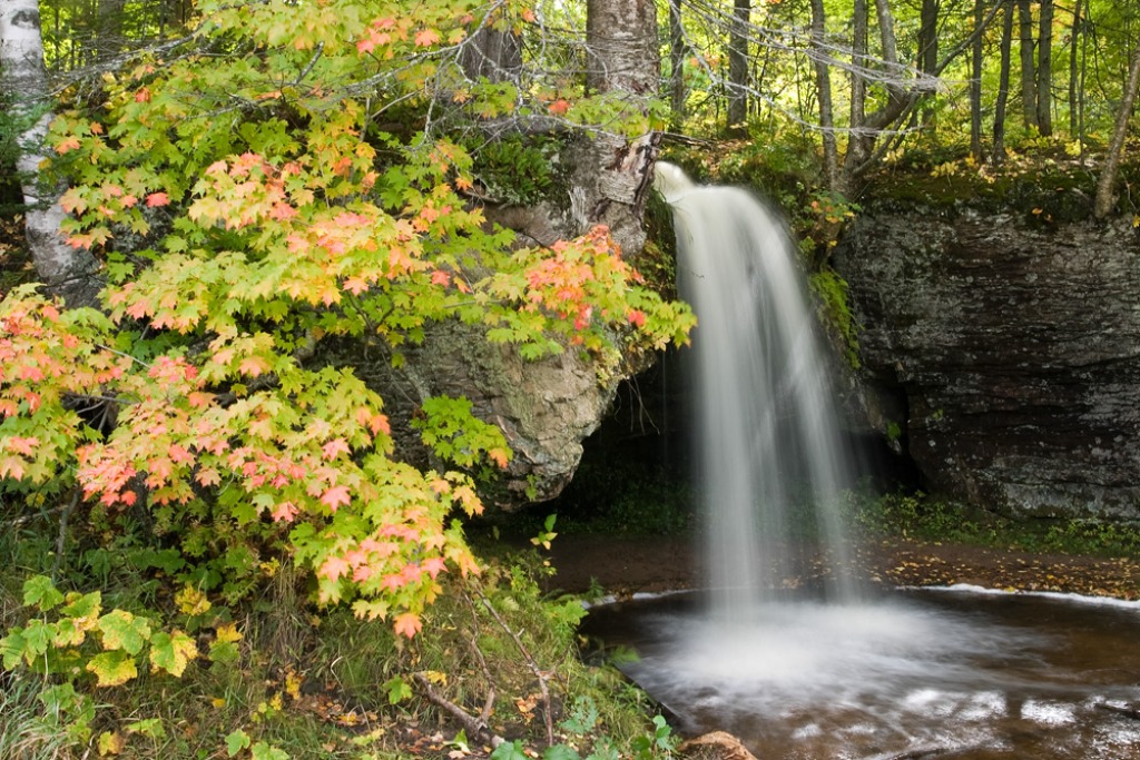 Autumn Color and Scott Falls jigsaw puzzle in Waterfalls puzzles on TheJigsawPuzzles.com