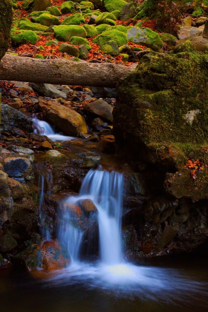 Swanson Creek jigsaw puzzle in Waterfalls puzzles on TheJigsawPuzzles.com