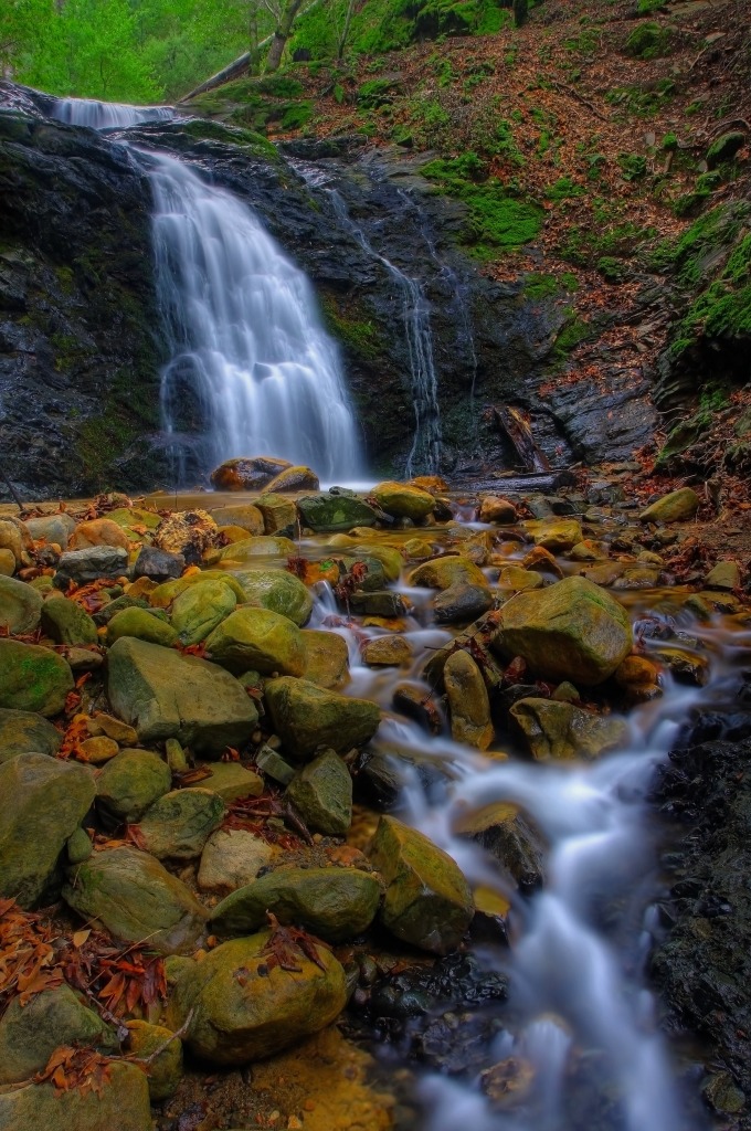 Upper Falls, Uvas Canyon Park jigsaw puzzle in Waterfalls puzzles on TheJigsawPuzzles.com