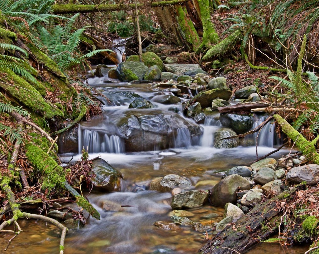 Chuckanut, Washington, US jigsaw puzzle in Waterfalls puzzles on TheJigsawPuzzles.com