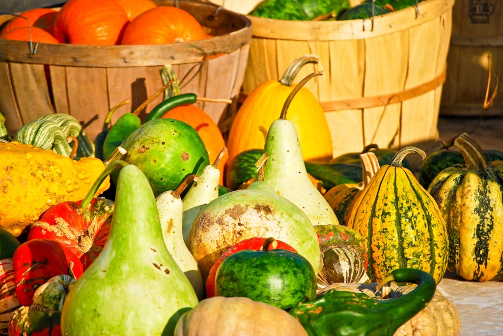 Farmer's Market, Valparaiso jigsaw puzzle in Fruits & Veggies puzzles on TheJigsawPuzzles.com