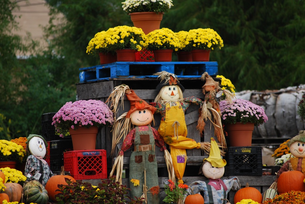 Working Scarecrows jigsaw puzzle in Halloween puzzles on TheJigsawPuzzles.com