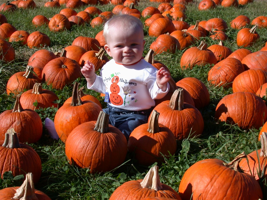 CJ in the Pumpkin Patch jigsaw puzzle in Halloween puzzles on TheJigsawPuzzles.com