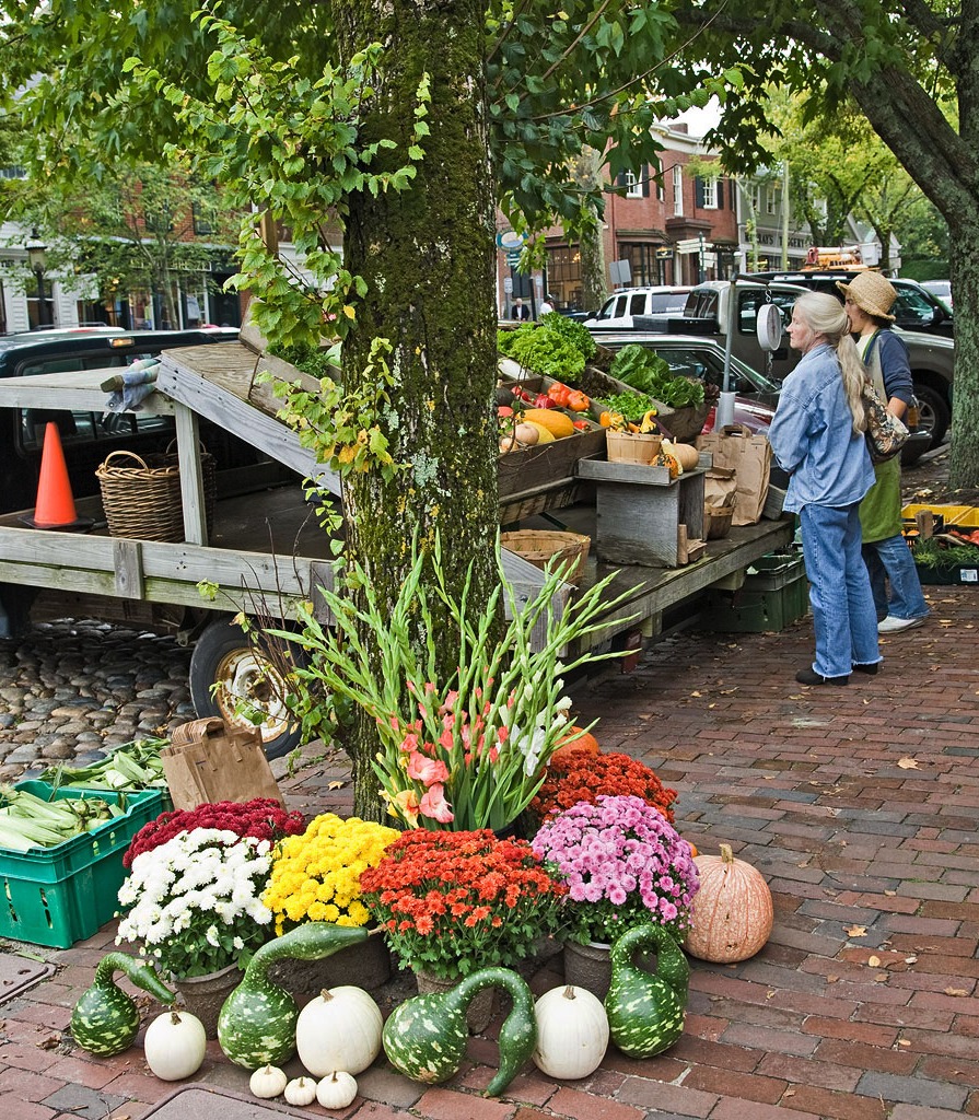 Nantucket, Massachusetts jigsaw puzzle in Fruits & Veggies puzzles on TheJigsawPuzzles.com