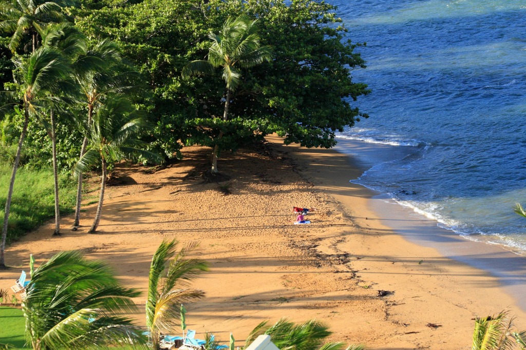 Hanalei Bay, Hawaii jigsaw puzzle in Great Sightings puzzles on TheJigsawPuzzles.com