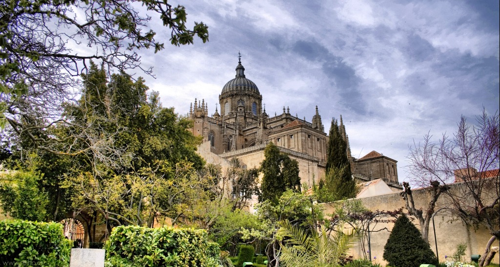 Catedral de Salamanca jigsaw puzzle in Puzzle of the Day puzzles on TheJigsawPuzzles.com
