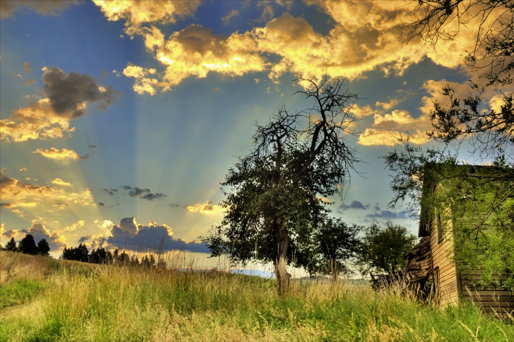 Homestead Sunrise Palouse jigsaw puzzle in Great Sightings puzzles on TheJigsawPuzzles.com