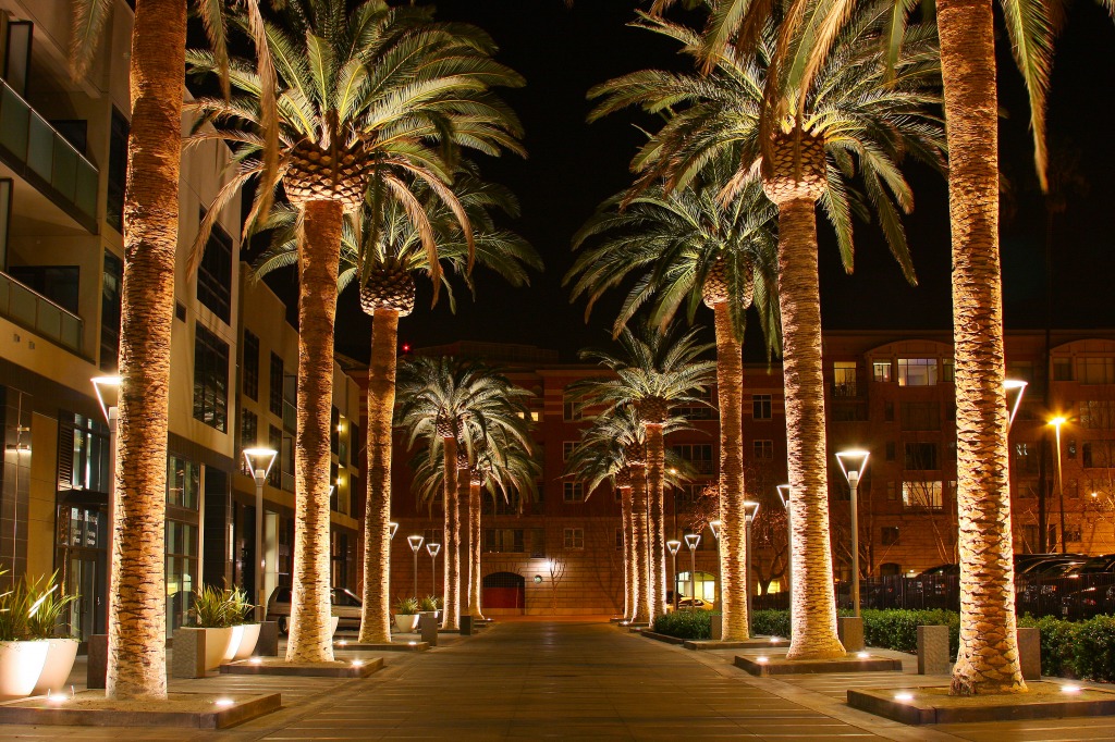 Palm Row jigsaw puzzle in Street View puzzles on TheJigsawPuzzles.com