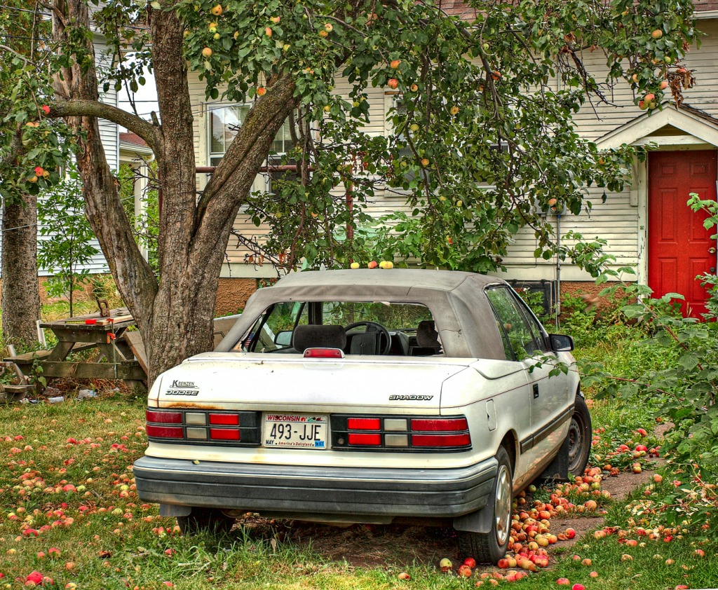 Don't Park Under the Apple Tree jigsaw puzzle in Puzzle of the Day puzzles on TheJigsawPuzzles.com